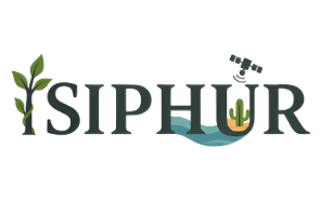ISIPHUR logo